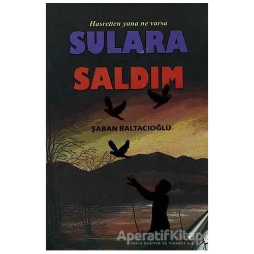Hasretten Yana Ne Varsa Sulara Saldım - Şaban Baltacıoğlu - Cinius Yayınları