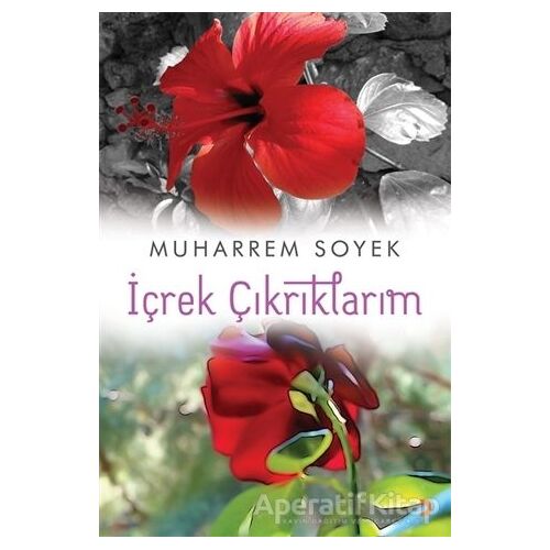 İçrek Çıkrıklarım - Muharrem Soyek - Cinius Yayınları