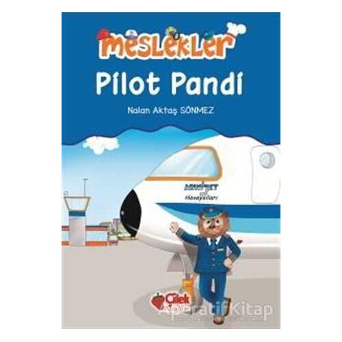 Pilot Pandi - Nalan Aktaş Sönmez - Çilek Kitaplar