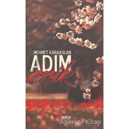 Adım Erik - Mehmet Karaaslan - Gece Kitaplığı