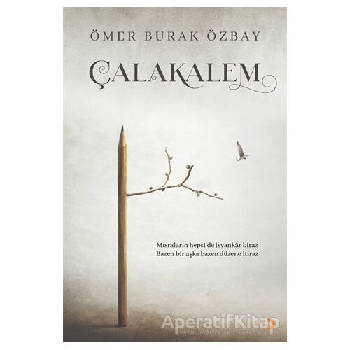 Çalakalem - Ömer Burak Özbay - Cinius Yayınları