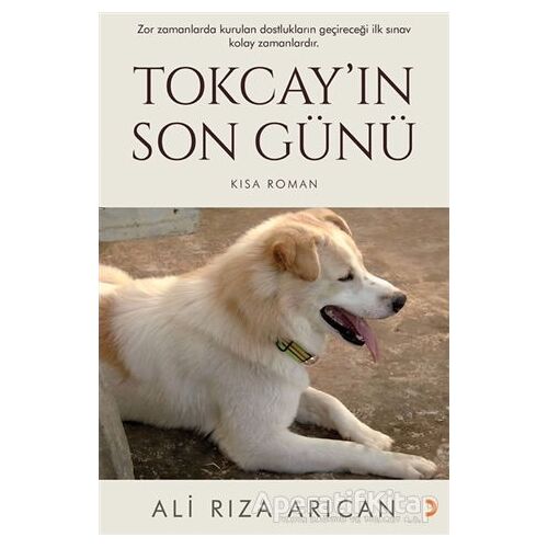 Tokcay’ın Son Günü - Ali Rıza Arıcan - Cinius Yayınları