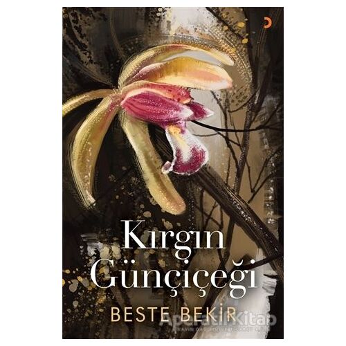 Kırgın Günçiçeği - Beste Bekir - Cinius Yayınları