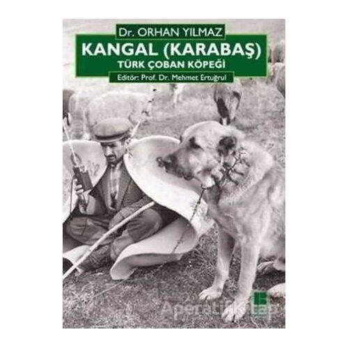 Kangal (Karabaş) Türk Çoban Köpeği - Orhan Yılmaz - Bilge Kültür Sanat