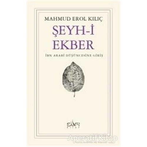 Şeyh-i Ekber İbn Arabi Düşüncesine Giriş - Mahmud Erol Kılıç - Sufi Kitap