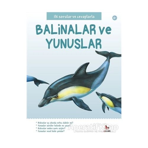 İlk Sorular ve Cevaplarla: Balinalar ve Yunuslar - Belinda Gallagher - Almidilli