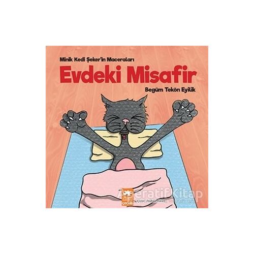 Evdeki Misafir - Minik Kedi Şekerin Maceraları - Begüm Tekön Eyilik - Eksik Parça Yayınları