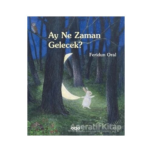 Ay Ne Zaman Gelecek? - Feridun Oral - Yapı Kredi Yayınları