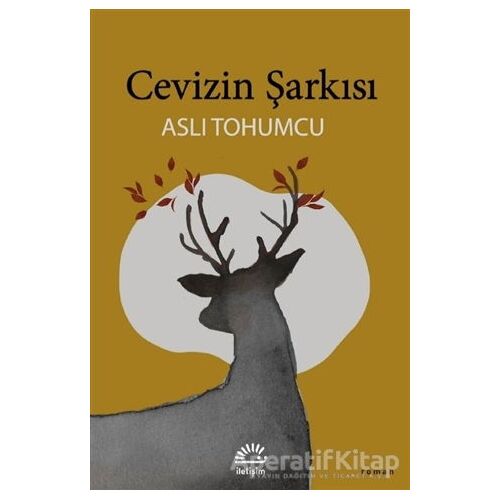 Cevizin Şarkısı - Aslı Tohumcu - İletişim Yayınevi