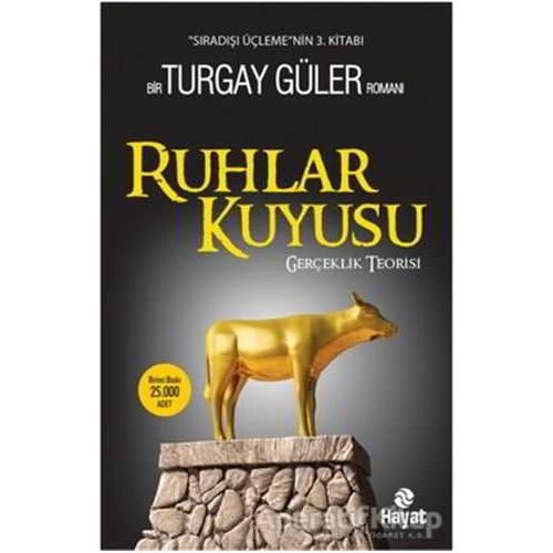 Ruhlar Kuyusu - Turgay Güler - Hayat Yayınları