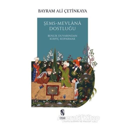 Şems-Mevlana Dostluğu - Bayram Ali Çetinkaya - İnsan Yayınları