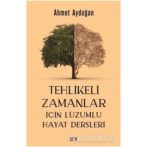 Tehlikeli Zamanlar İçin Lüzumlu Hayat Dersleri - Ahmet Aydoğan - Say Yayınları