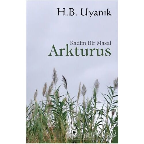 Arkturus - Kadim Bir Masal - H.B. Uyanık - Dorlion Yayınları