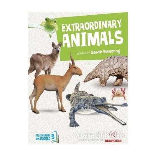 Extraordinary Animals - Sarah Sweeney - Redhouse Kidz Yayınları