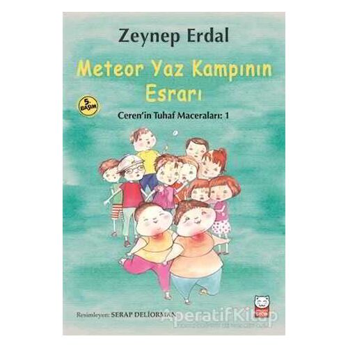 Meteor Yaz Kampının Esrarı - Zeynep Erdal - Kırmızı Kedi Çocuk