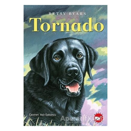 Tornado - Betsy Byars - Beyaz Balina Yayınları