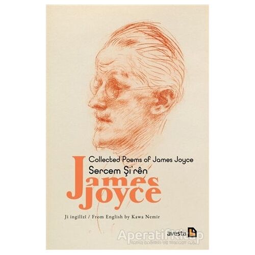Collected Poems Of James Joyce - Sercem Şiren James Joyce - Kawa Nemir - Avesta Yayınları