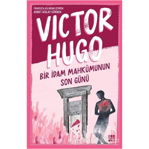 Bir İdam Mahkumunun Son Günü - Victor Hugo - Dokuz Yayınları