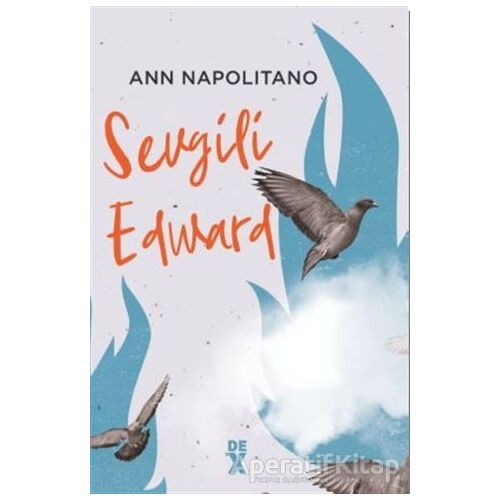 Sevgili Edward - Ann Napolitano - Dex Yayınevi