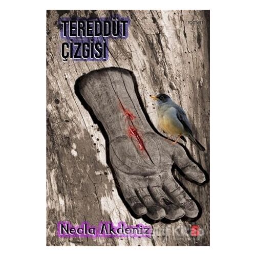 Tereddüt Çizgisi - Necla Akdeniz - Agora Kitaplığı