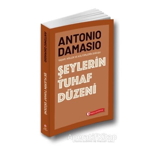 Şeylerin Tuhaf Düzeni - Antonio Damasio - ODTÜ Geliştirme Vakfı Yayıncılık