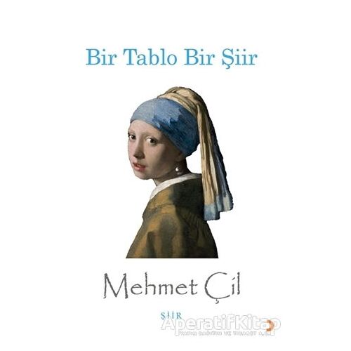 Bir Tablo Bir Şiir - Mehmet Çil - Cinius Yayınları