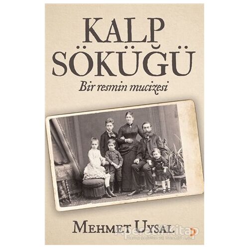 Kalp Söküğü - Mehmet Uysal - Cinius Yayınları