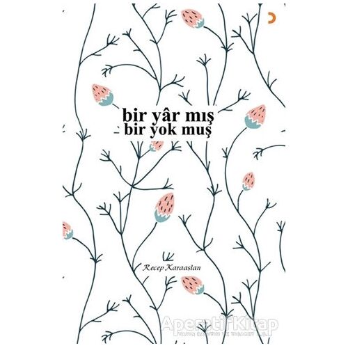 Bir Yar mış - Bir Yok muş - Recep Karaaslan - Cinius Yayınları