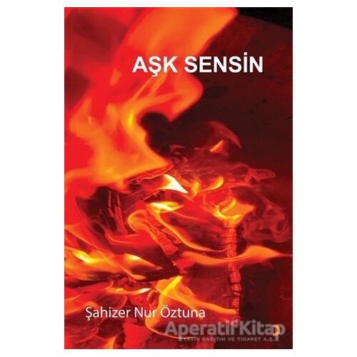 Aşk Sensin - Şahizer Nur Öztuna - Cinius Yayınları