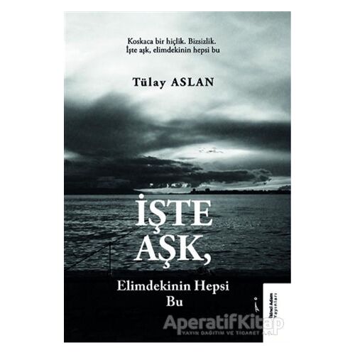 İşte Aşk, Elimdekinin Hepsi Bu - Tülay Aslan - İkinci Adam Yayınları