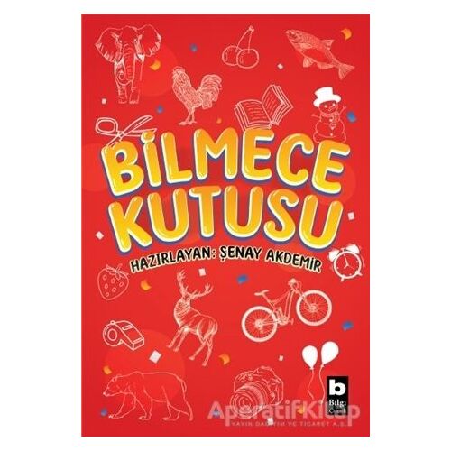 Bilmece Kutusu - Şenay Akdemir - Bilgi Yayınevi