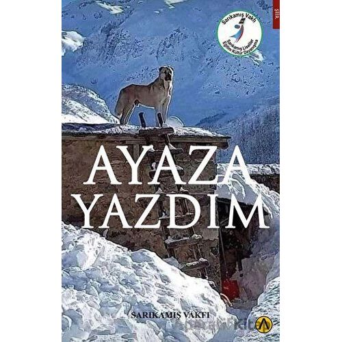 Ayaza Yazdım - Kolektif - Ares Yayınları