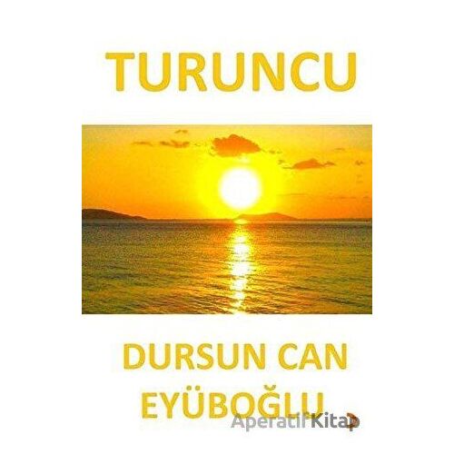 Turuncu - Dursun Can Eyüboğlu - Cinius Yayınları