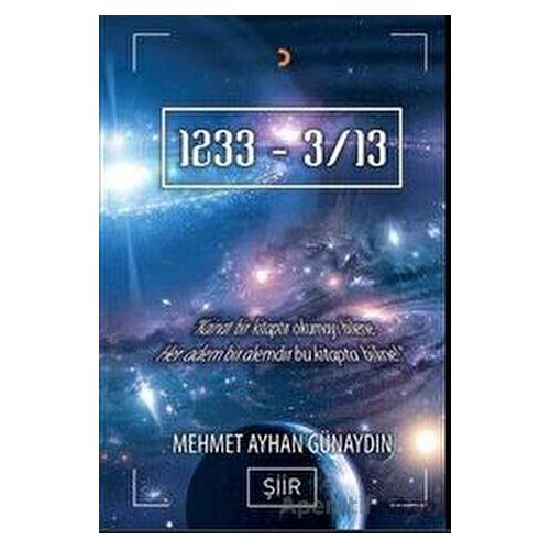 1233-3/13 - Mehmet Ayhan Günaydın - Cinius Yayınları