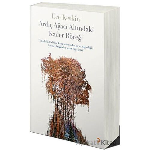 Ardıç Ağacı Altındaki Kader Böceği - Ece Keskin - Cinius Yayınları