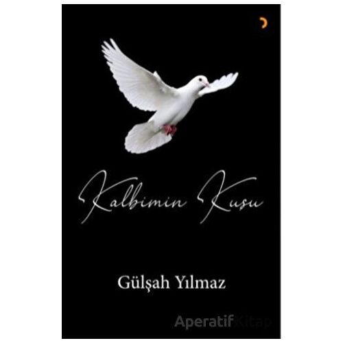 Kalbimin Kuşu - Gülşah Yılmaz - Cinius Yayınları