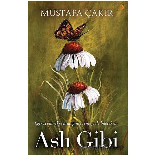 Aslı Gibi - Mustafa Çakır - Cinius Yayınları