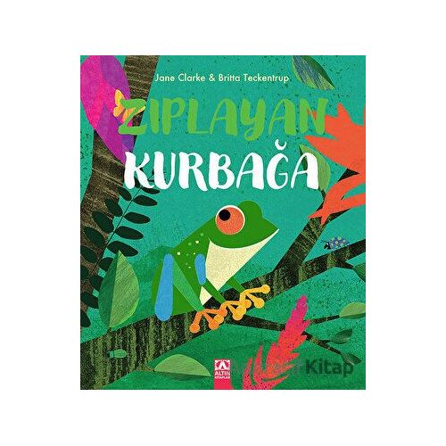 Zıplayan Kurbağa - Britta Teckentrup - Altın Kitaplar