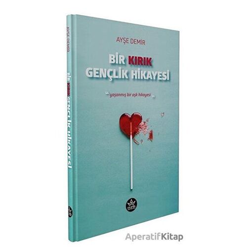 Bir Kırık Gençlik Hikayesi - Ayşe Demir - Elpis Yayınları