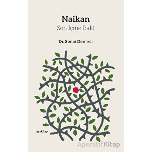 Naikan - Sen İçine Bak! - Senai Demirci - Hayykitap