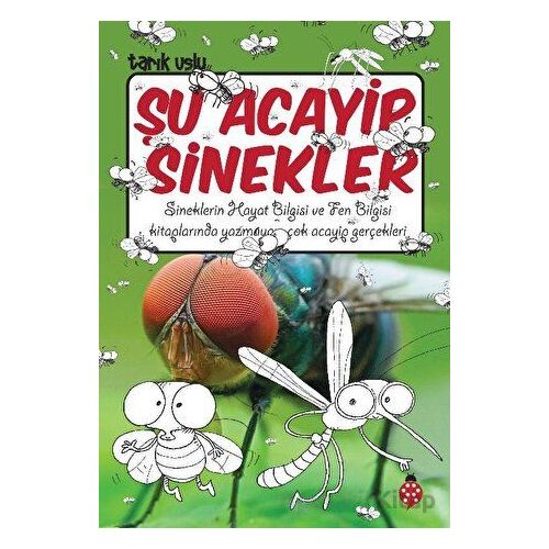 Şu Acayip Sinekler - Tarık Uslu - Uğurböceği Yayınları