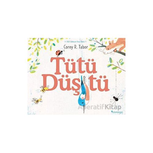 Tütü Düştü - Corey R. Tabor - Domingo Yayınevi