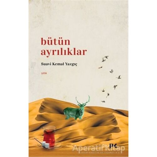 Bütün Ayrılıklar - Suavi Kemal Yazgıç - Profil Kitap