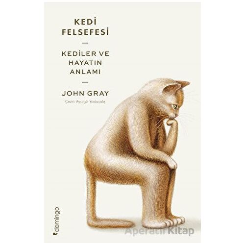 Kedi Felsefesi - Kediler ve Hayatın Anlamı - John Gray - Domingo Yayınevi