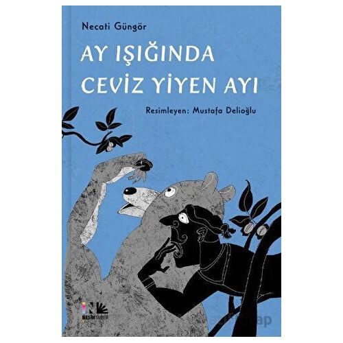 Ay Işığında Ceviz Yiyen Ayı - Necati Güngör - Nesin Yayınevi