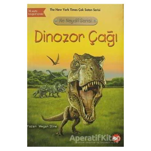 Dinozor Çağı - Ne Neydi? Serisi - Megan Stine - Beyaz Balina Yayınları