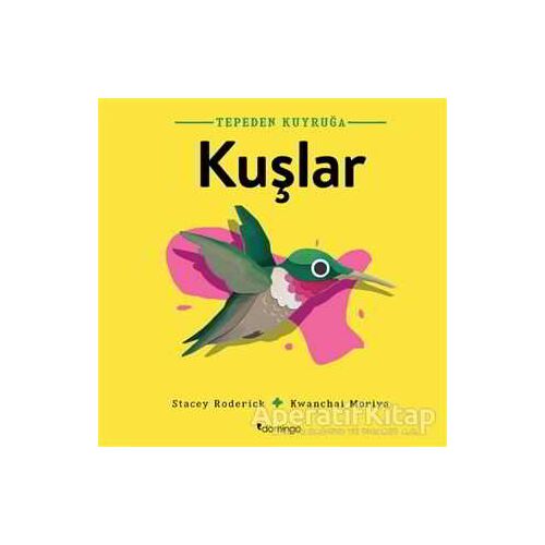 Kuşlar - Tepeden Kuyruğa - Stacey Roderick - Domingo Yayınevi