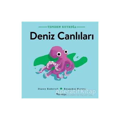 Deniz Canlıları - Tepeden Kuyruğa - Stacey Roderick - Domingo Yayınevi