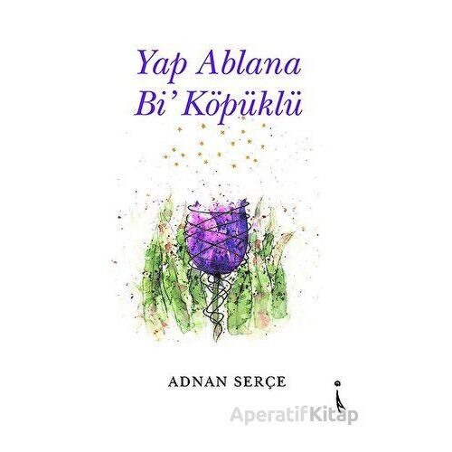 Yap Ablana Bi Köpüklü - Adnan Serçe - İkinci Adam Yayınları