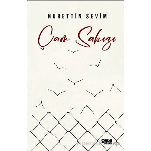 Çam Sakızı - Nurettin Sevim - Gece Kitaplığı